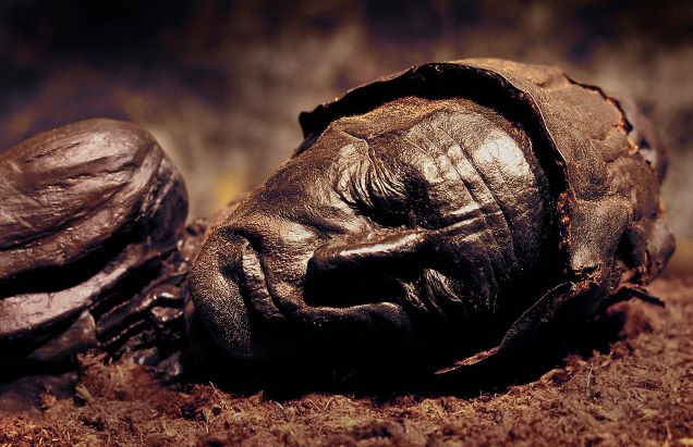 Bog bodies