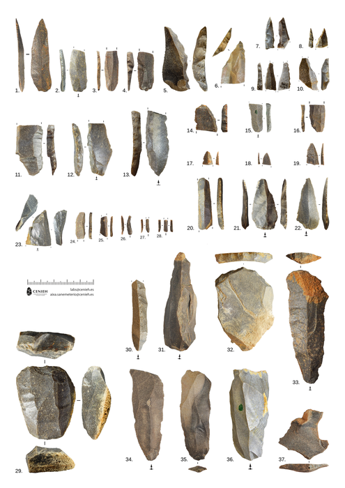 Neanderthal tools