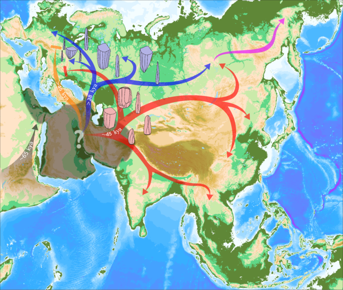 African population hub